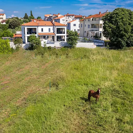 Villa In Tinjan Near Hidrobaza *