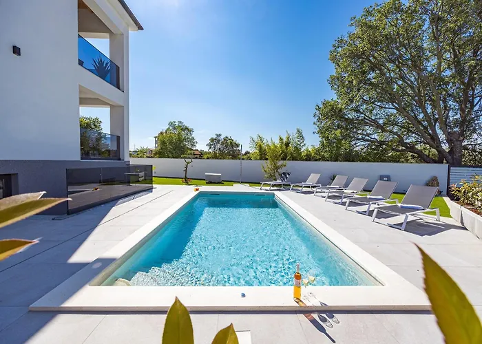 In Tinjan Near Hidrobaza Stinjan