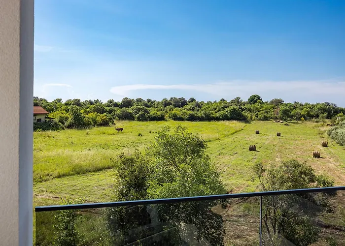 In Tinjan Near Hidrobaza Villa *