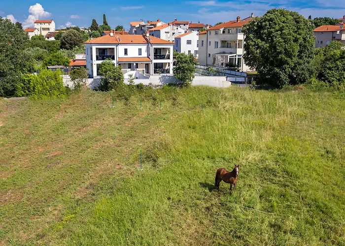 Villa In Tinjan Near Hidrobaza *